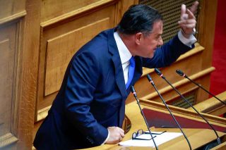 adonis vouli